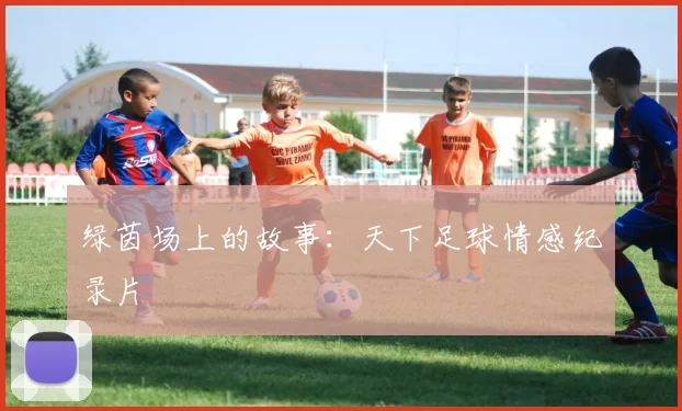 绿茵场上的故事:天下足球情感纪录片