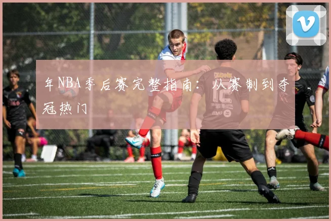 年NBA季后赛完整指南：从赛制到夺冠热门