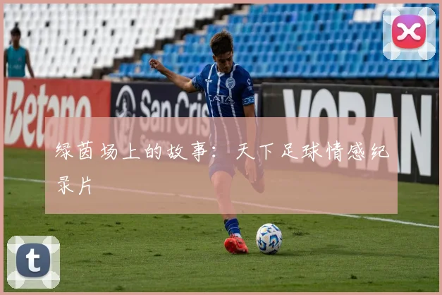 绿茵场上的故事:天下足球情感纪录片