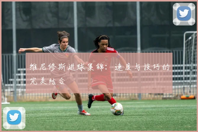 维尼修斯进球集锦:速度与技巧的完美结合