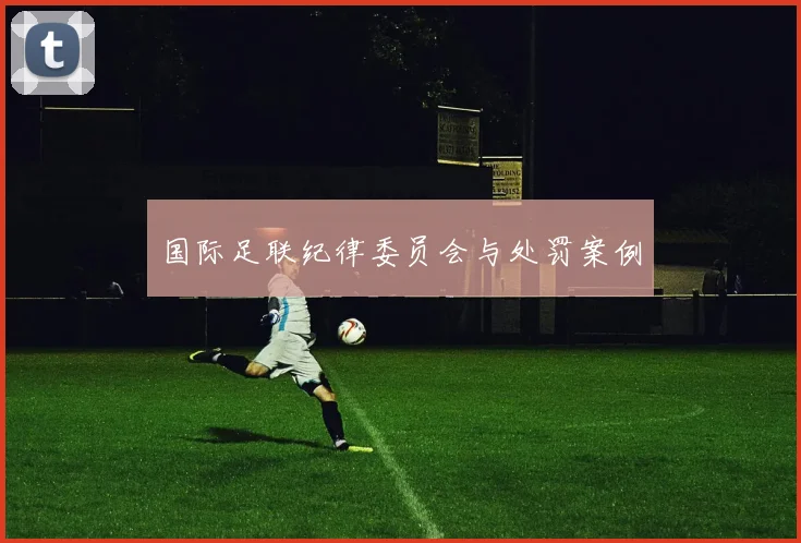 国际足联纪律委员会与处罚案例